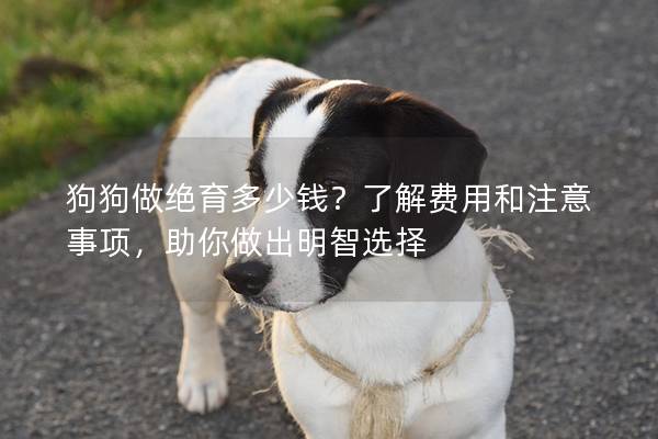 狗狗做绝育多少钱？了解费用和注意事项，助你做出明智选择