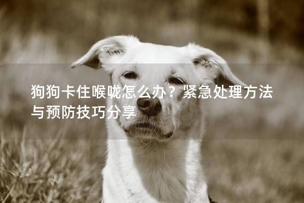 狗狗卡住喉咙怎么办？紧急处理方法与预防技巧分享