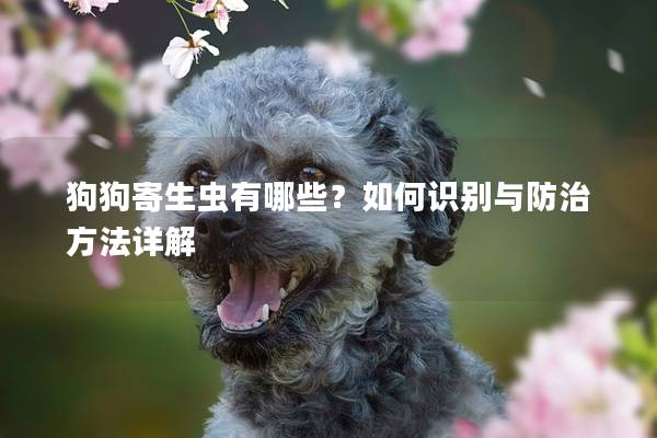 狗狗寄生虫有哪些？如何识别与防治方法详解