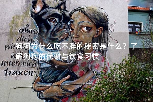 狗狗为什么吃不胖的秘密是什么？了解狗狗的代谢与饮食习惯