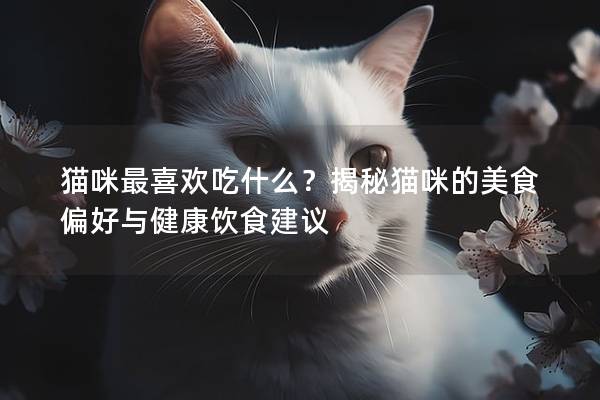 猫咪最喜欢吃什么？揭秘猫咪的美食偏好与健康饮食建议