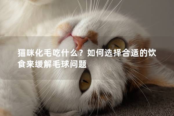 猫咪化毛吃什么？如何选择合适的饮食来缓解毛球问题