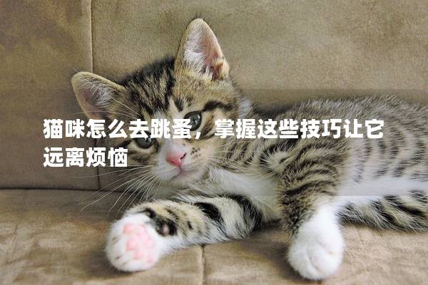 猫咪怎么去跳蚤，掌握这些技巧让它远离烦恼