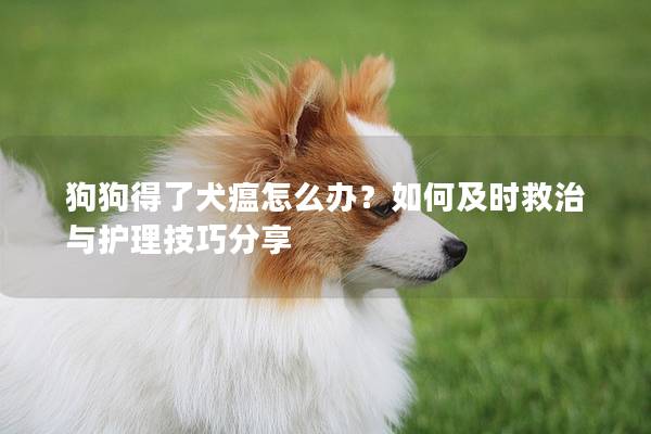 狗狗得了犬瘟怎么办？如何及时救治与护理技巧分享