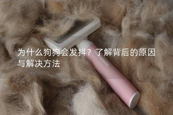 为什么狗狗会发抖？了解背后的原因与解决方法