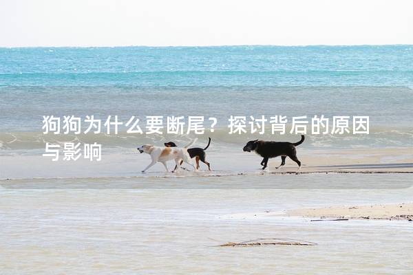 狗狗为什么要断尾？探讨背后的原因与影响
