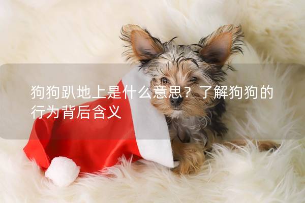 狗狗趴地上是什么意思？了解狗狗的行为背后含义