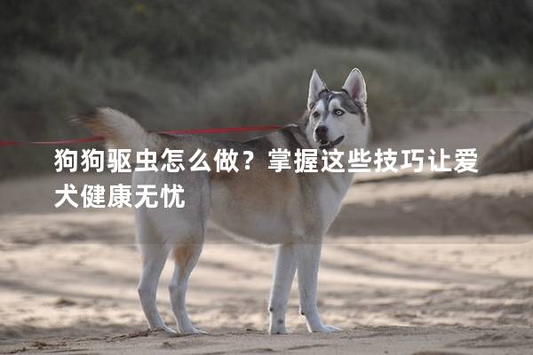 狗狗驱虫怎么做？掌握这些技巧让爱犬健康无忧