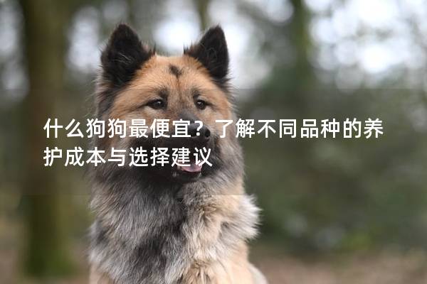什么狗狗最便宜？了解不同品种的养护成本与选择建议