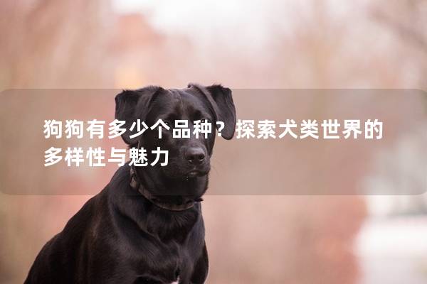 狗狗有多少个品种?探索犬类世界的多样性与魅力 狗狗有多少个品种?探索犬类世界的多样性与魅力