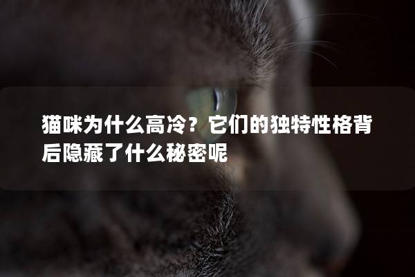 猫咪为什么高冷？它们的独特性格背后隐藏了什么秘密呢