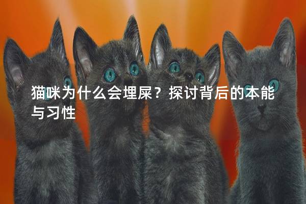 猫咪为什么会埋屎？探讨背后的本能与习性