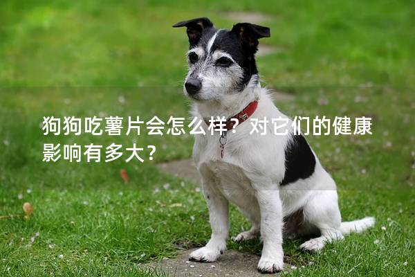 狗狗吃薯片会怎么样？对它们的健康影响有多大？