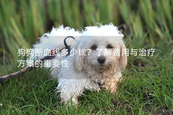 狗狗断血线多少钱？了解费用与治疗方案的重要性