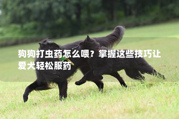 狗狗打虫药怎么喂？掌握这些技巧让爱犬轻松服药