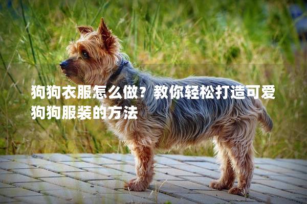 狗狗衣服怎么做？教你轻松打造可爱狗狗服装的方法