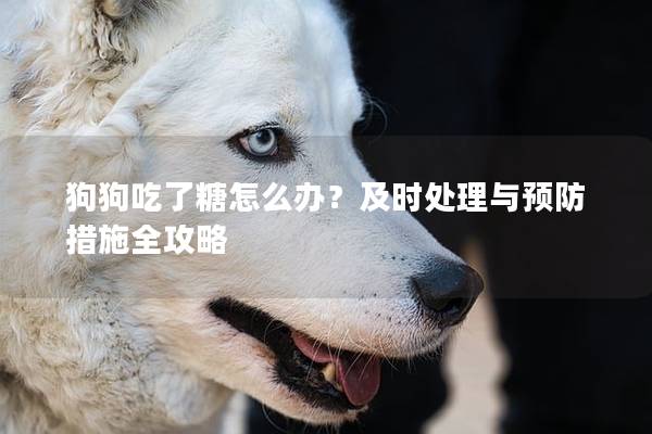 狗狗吃了糖怎么办？及时处理与预防措施全攻略
