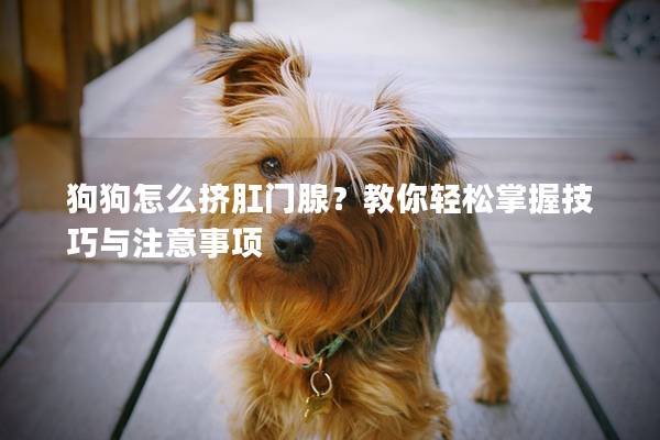 狗狗怎么挤肛门腺？教你轻松掌握技巧与注意事项