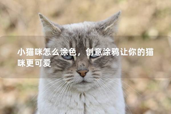 小猫咪怎么涂色，创意涂鸦让你的猫咪更可爱