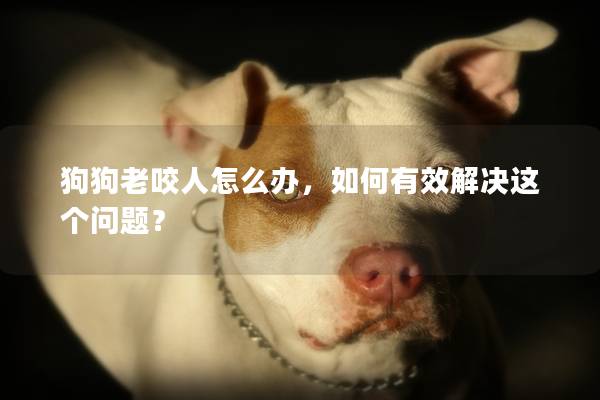 狗狗老咬人怎么办，如何有效解决这个问题？