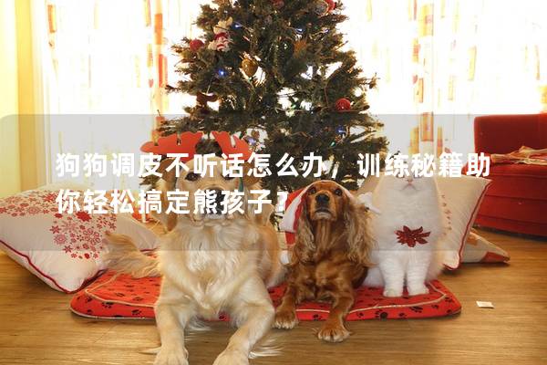 狗狗调皮不听话怎么办，训练秘籍助你轻松搞定熊孩子？