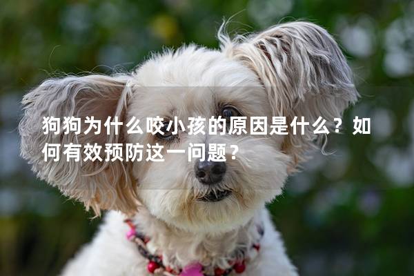 狗狗为什么咬小孩的原因是什么？如何有效预防这一问题？