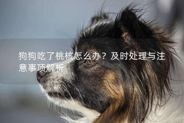 狗狗吃了桃核怎么办？及时处理与注意事项解析