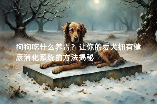 狗狗吃什么养胃？让你的爱犬拥有健康消化系统的方法揭秘
