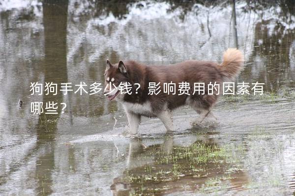 狗狗手术多少钱？影响费用的因素有哪些？