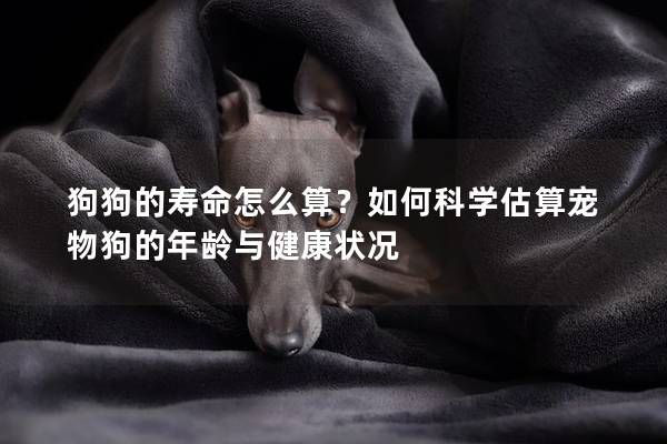 狗狗的寿命怎么算？如何科学估算宠物狗的年龄与健康状况