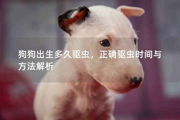狗狗出生多久驱虫，正确驱虫时间与方法解析