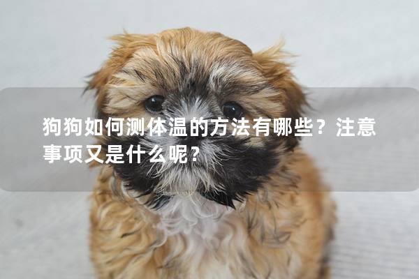 狗狗如何测体温的方法有哪些?注意事项又是什么呢? 狗狗如何测体温的方法有哪些?注意事项又是什么呢?