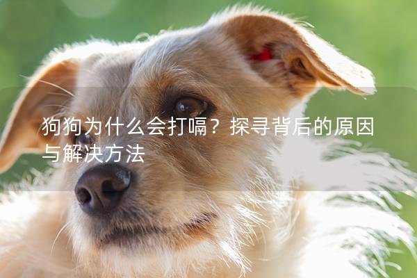 狗狗为什么会打嗝？探寻背后的原因与解决方法
