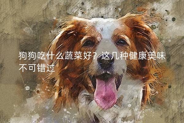 狗狗吃什么蔬菜好？这几种健康美味不可错过