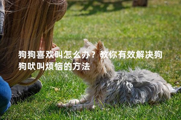 狗狗喜欢叫怎么办？教你有效解决狗狗吠叫烦恼的方法