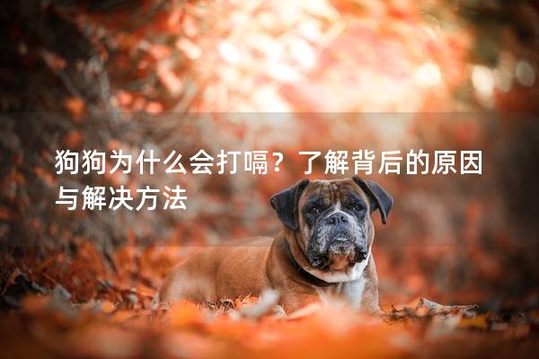 狗狗为什么会打嗝？了解背后的原因与解决方法