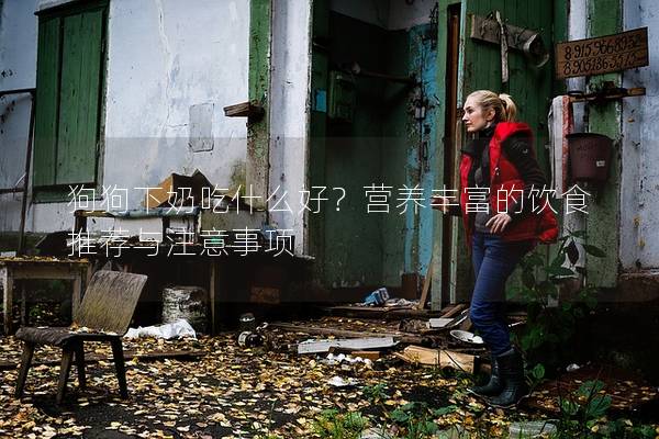 狗狗下奶吃什么好？营养丰富的饮食推荐与注意事项
