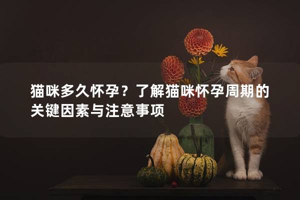 猫咪多久怀孕？了解猫咪怀孕周期的关键因素与注意事项