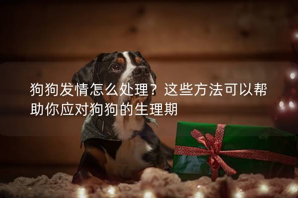 狗狗发情怎么处理？这些方法可以帮助你应对狗狗的生理期