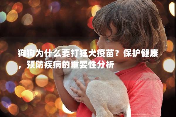狗狗为什么要打狂犬疫苗？保护健康，预防疾病的重要性分析