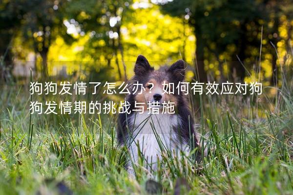 狗狗发情了怎么办？如何有效应对狗狗发情期的挑战与措施