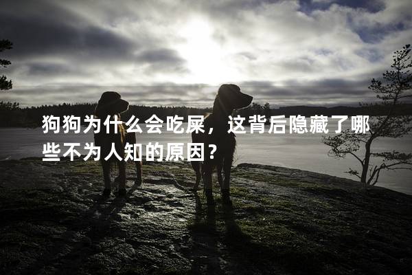 狗狗为什么会吃屎，这背后隐藏了哪些不为人知的原因？