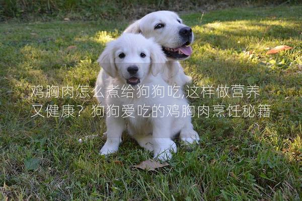 鸡胸肉怎么煮给狗狗吃,这样做营养又健康？狗狗爱吃的鸡胸肉烹饪秘籍
