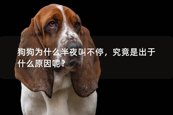 狗狗为什么半夜叫不停，究竟是出于什么原因呢？