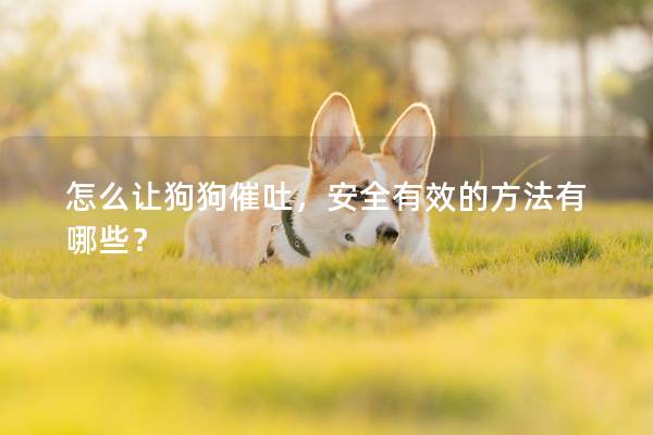 怎么让狗狗催吐，安全有效的方法有哪些？