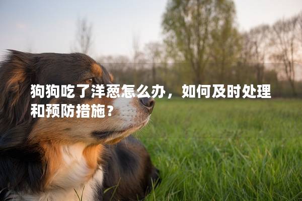 狗狗吃了洋葱怎么办，如何及时处理和预防措施？