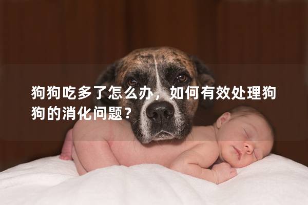 狗狗吃多了怎么办，如何有效处理狗狗的消化问题？
