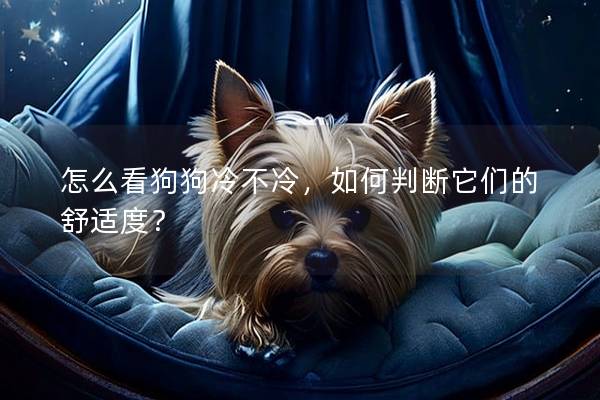 怎么看狗狗冷不冷，如何判断它们的舒适度？