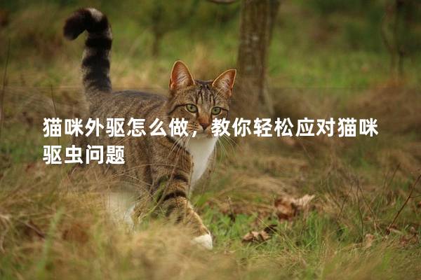 猫咪外驱怎么做，教你轻松应对猫咪驱虫问题