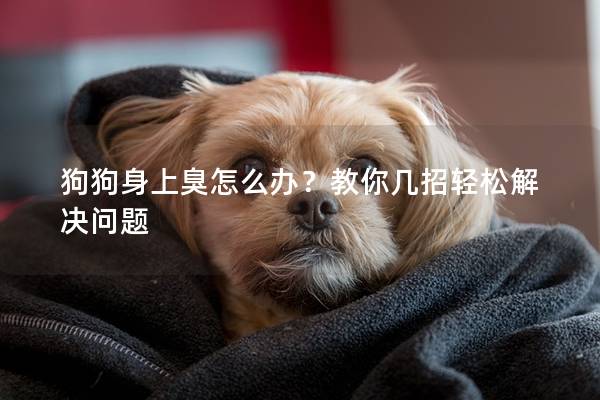 狗狗身上臭怎么办？教你几招轻松解决问题